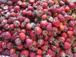 Larriland Berries