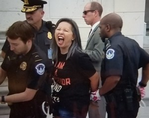 #cancelkavanaugh, #resist, #novemberiscoming